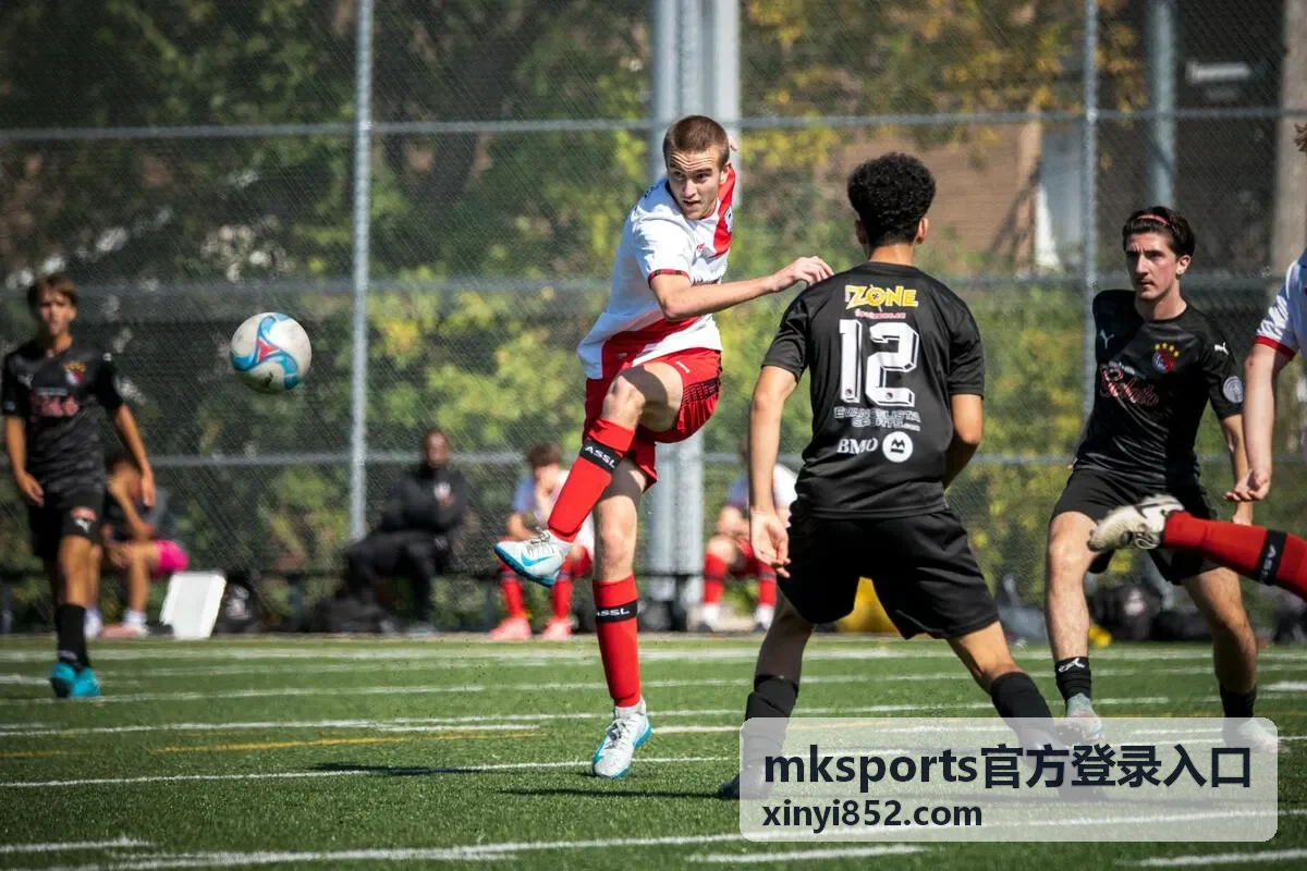 mksports官方登录入口首屏展示与操作指引