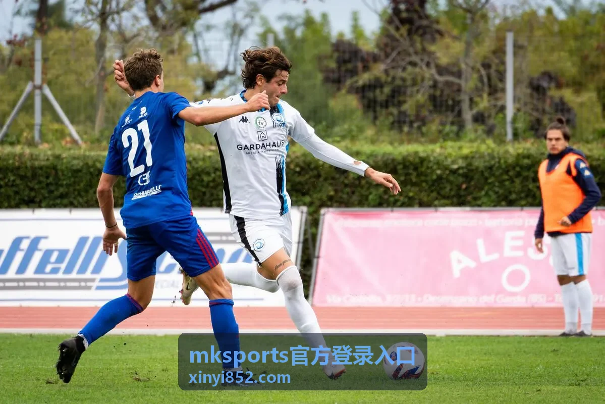 mksports官方登录入口登录异常排查演示